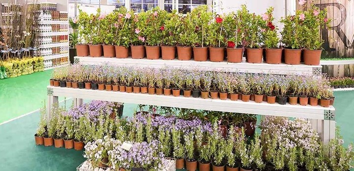 Sajam Hortikulture 02 720