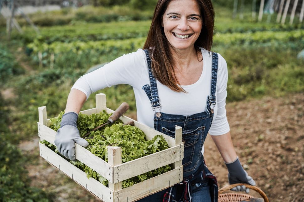 cooperative, woman, woman, farmer