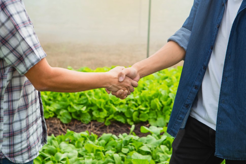 handshake, farmer, cooperative