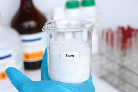 Boron,fertilizer,,experimenting,with,chemical,fertilizers,for,agriculture,,scientific,experiment