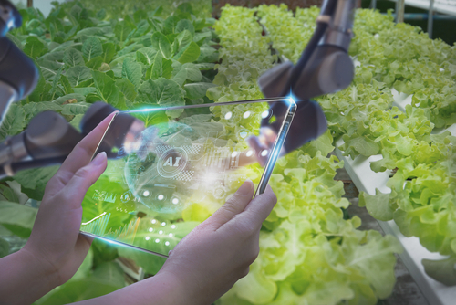 Farmers,use,futuristic,tablet,to,inspect,robotic,arm,harvest,produce