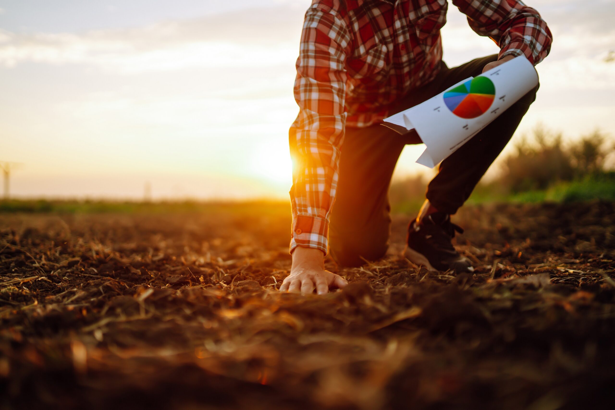 Hand,of,expert,farmer,collect,soil,and,checking,soil,health