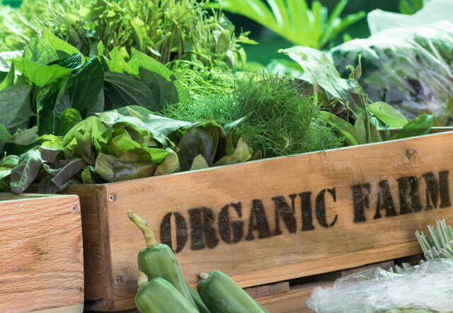 Fresh,organic,produce,from,farm,in,wooden,box