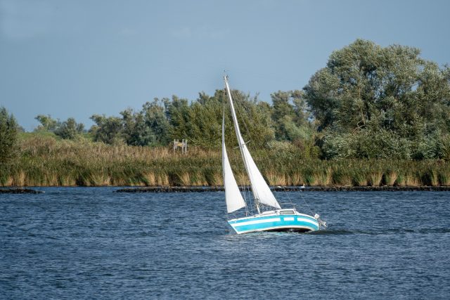 Small Sailing Boat Lake Surrounded By Trees Sunlight