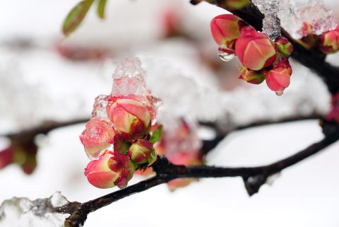 Snow 4936667 1920 (1)
