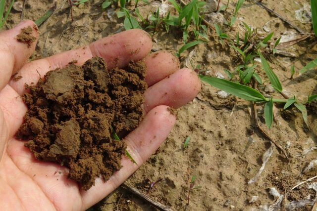 Soil 918006 1280