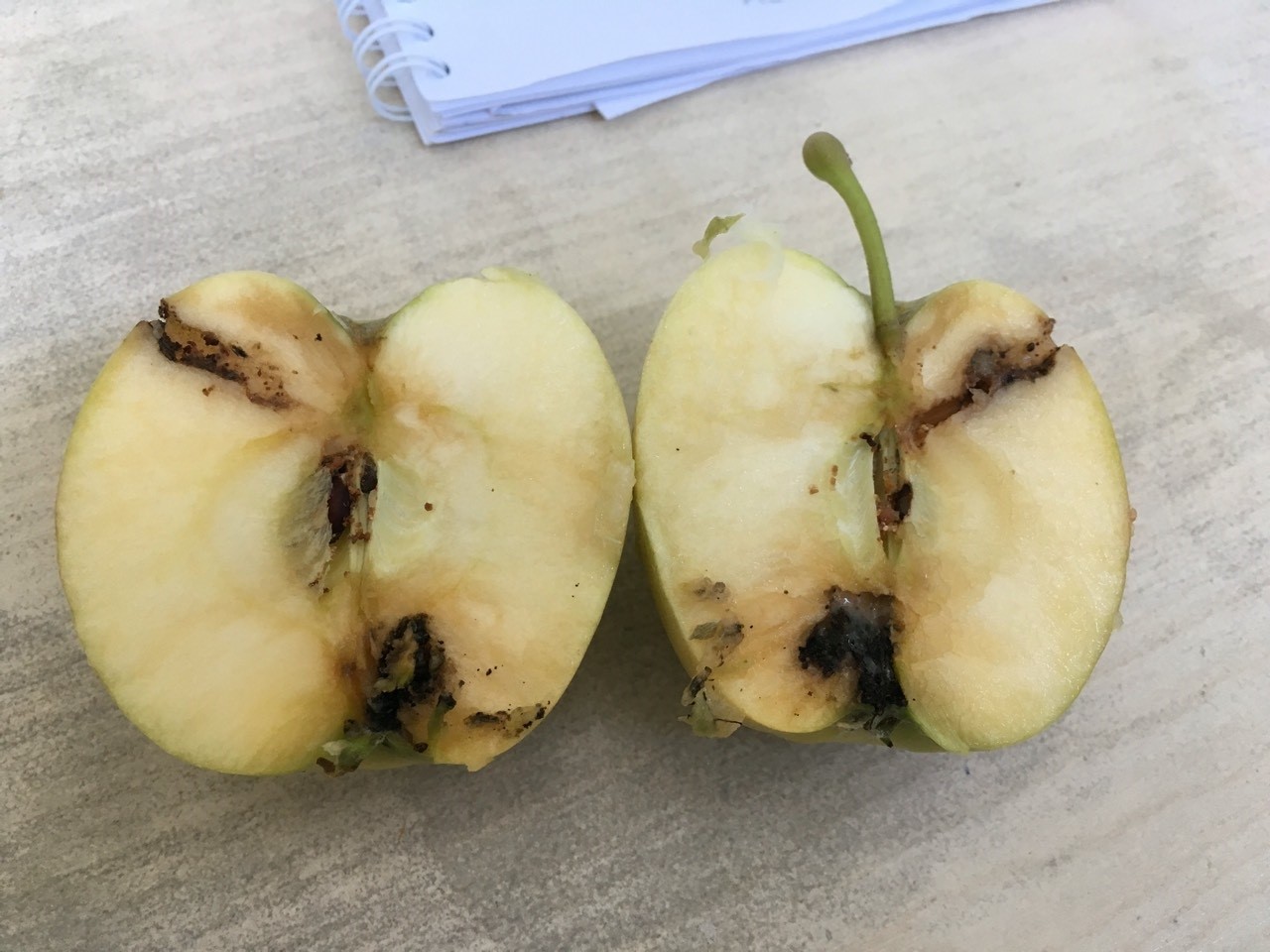 Galenika Fitofarmacija