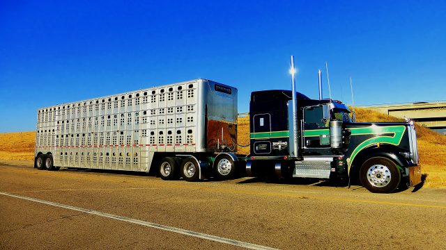 Truck 3492157 1920