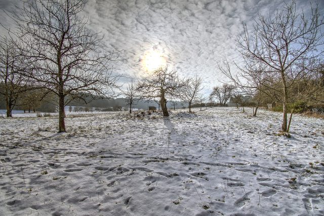 Winter 4040807 1920