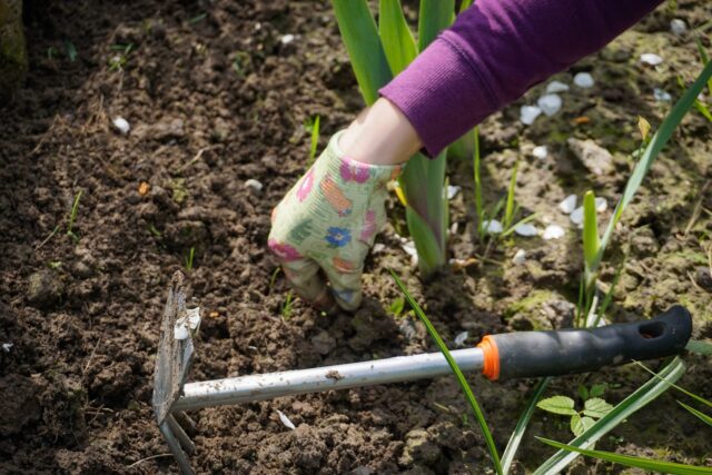Work In The Garden 2432111 1280
