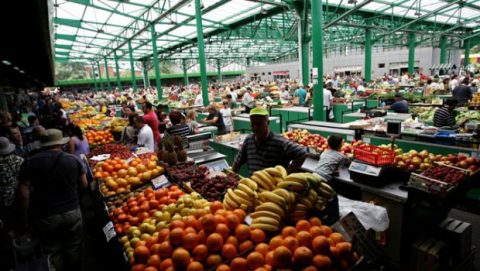 Zelena Pijaca 1 620x350